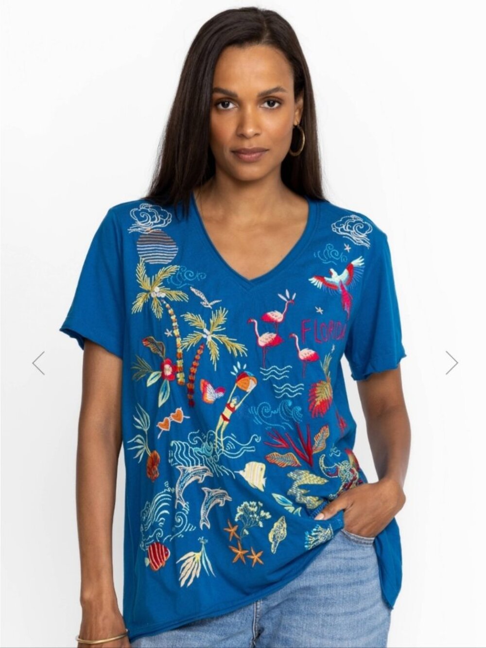 Johnny Was Top XL Blue Teal Florida Everyday Tee Shirt Embroidered Boho V-Neck